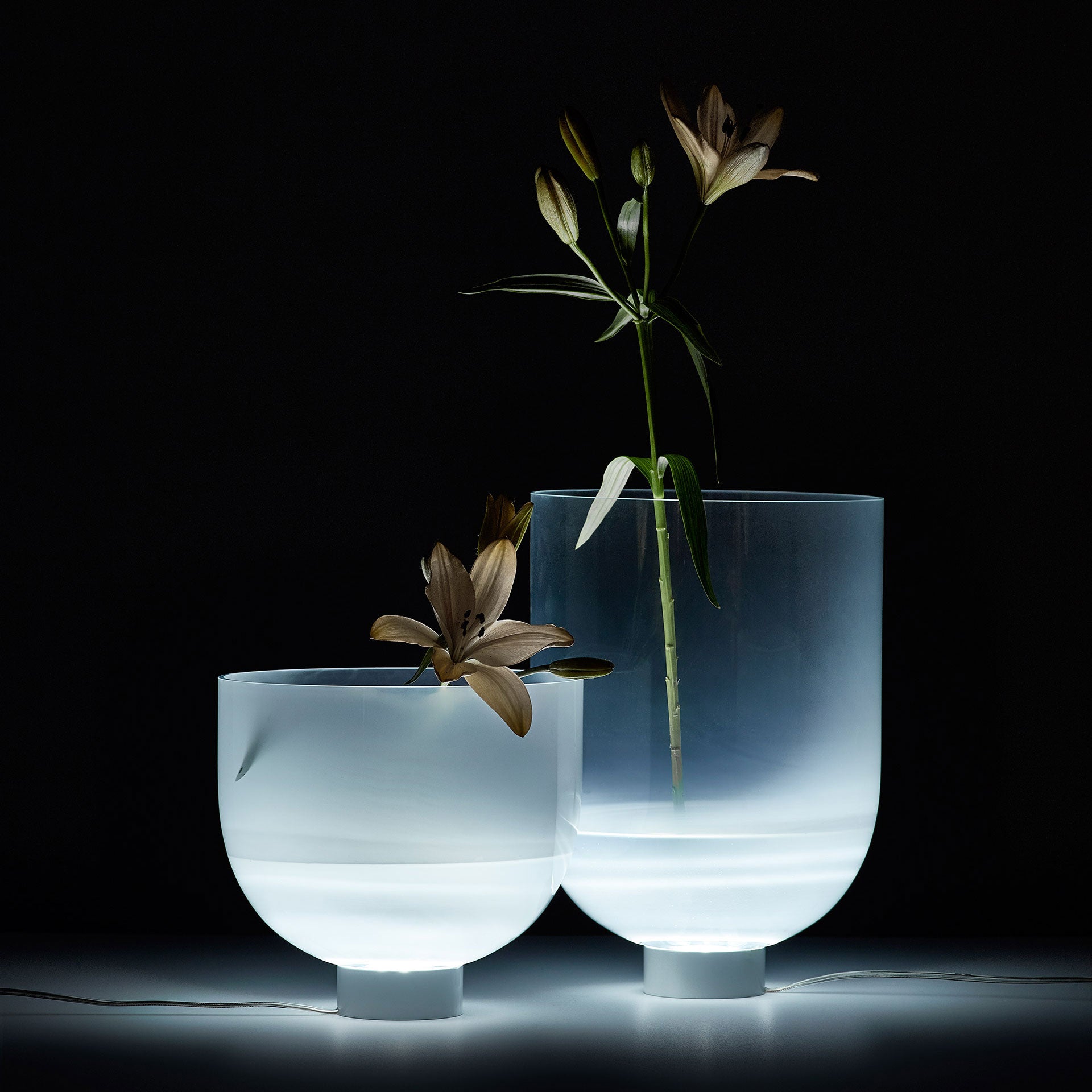 Light vase small