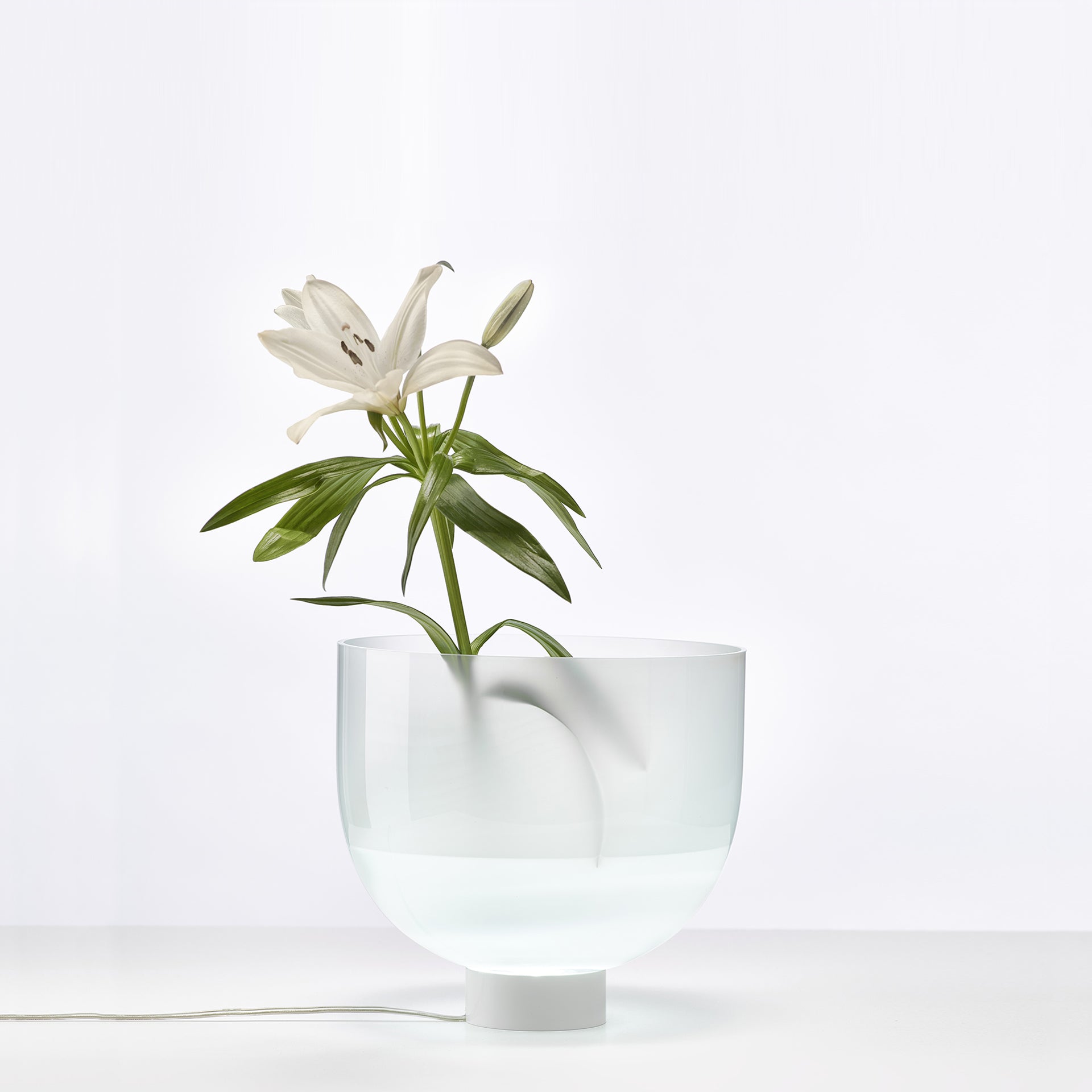 Light vase small