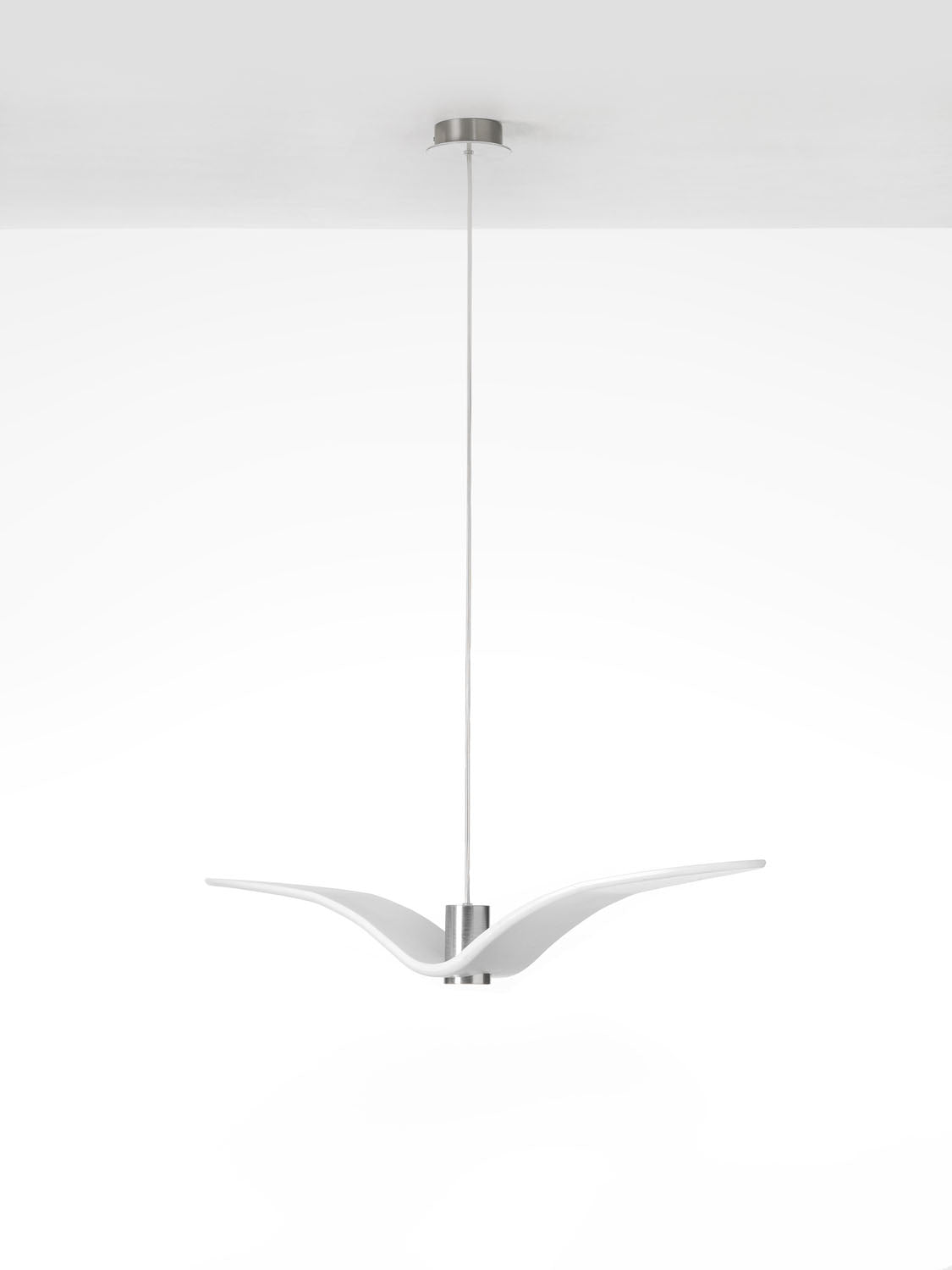 Night Birds pendant lamp PC962